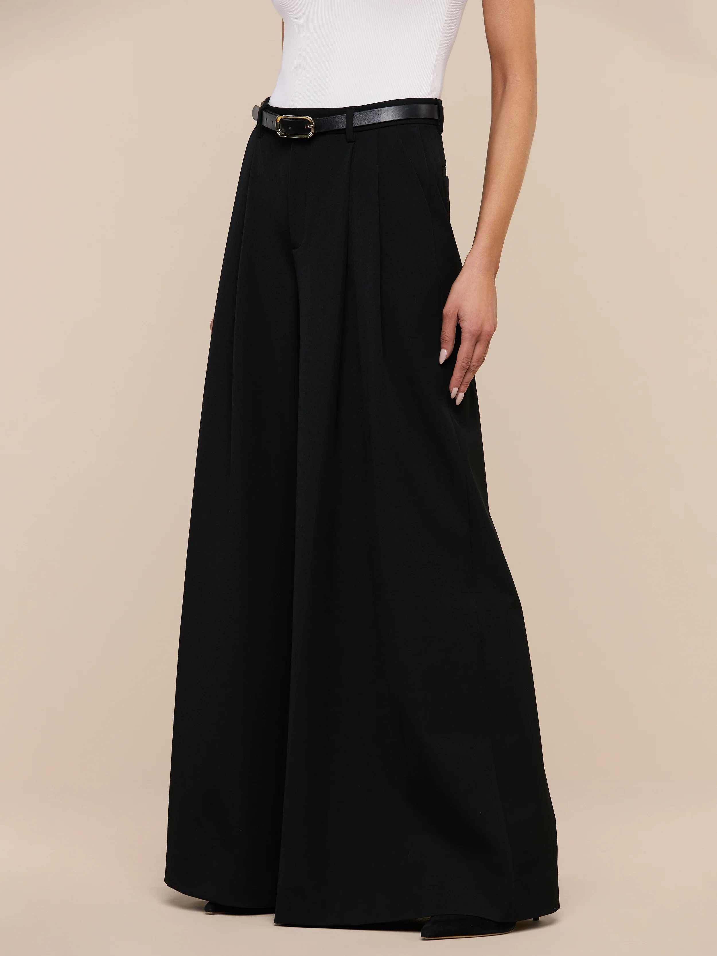 Chelsy Wide-Leg Pant - Image 4